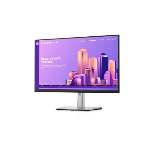 Dell 24 monitor - P2422H